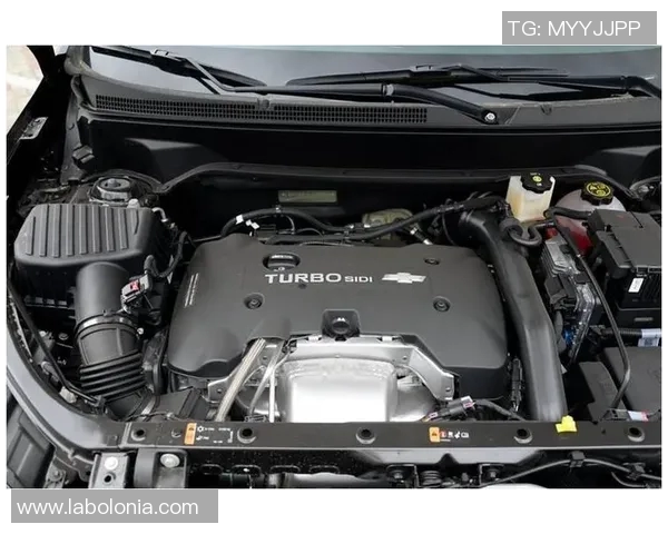 圣保罗与巴拉那激战正酣谁能在这场对决中笑到最后 圣保罗与巴拉那激战正酣谁能在这场对决中笑到最后