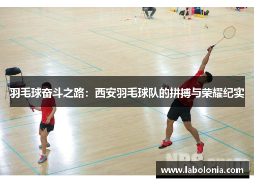 羽毛球奋斗之路：西安羽毛球队的拼搏与荣耀纪实