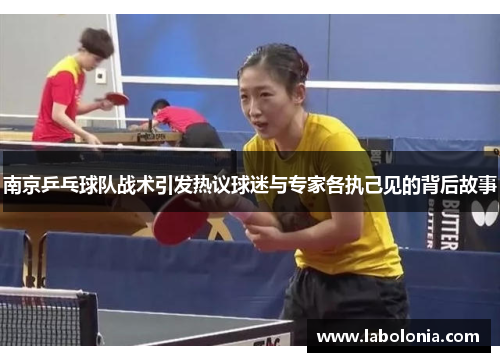 南京乒乓球队战术引发热议球迷与专家各执己见的背后故事