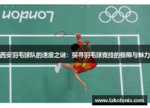 西安羽毛球队的速度之谜：探寻羽毛球竞技的极限与魅力