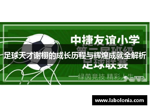 足球天才谢栩的成长历程与辉煌成就全解析