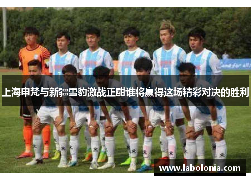 上海申梵与新疆雪豹激战正酣谁将赢得这场精彩对决的胜利