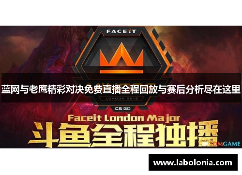 蓝网与老鹰精彩对决免费直播全程回放与赛后分析尽在这里