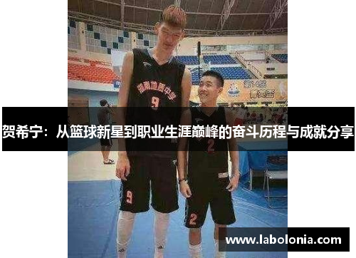 贺希宁：从篮球新星到职业生涯巅峰的奋斗历程与成就分享